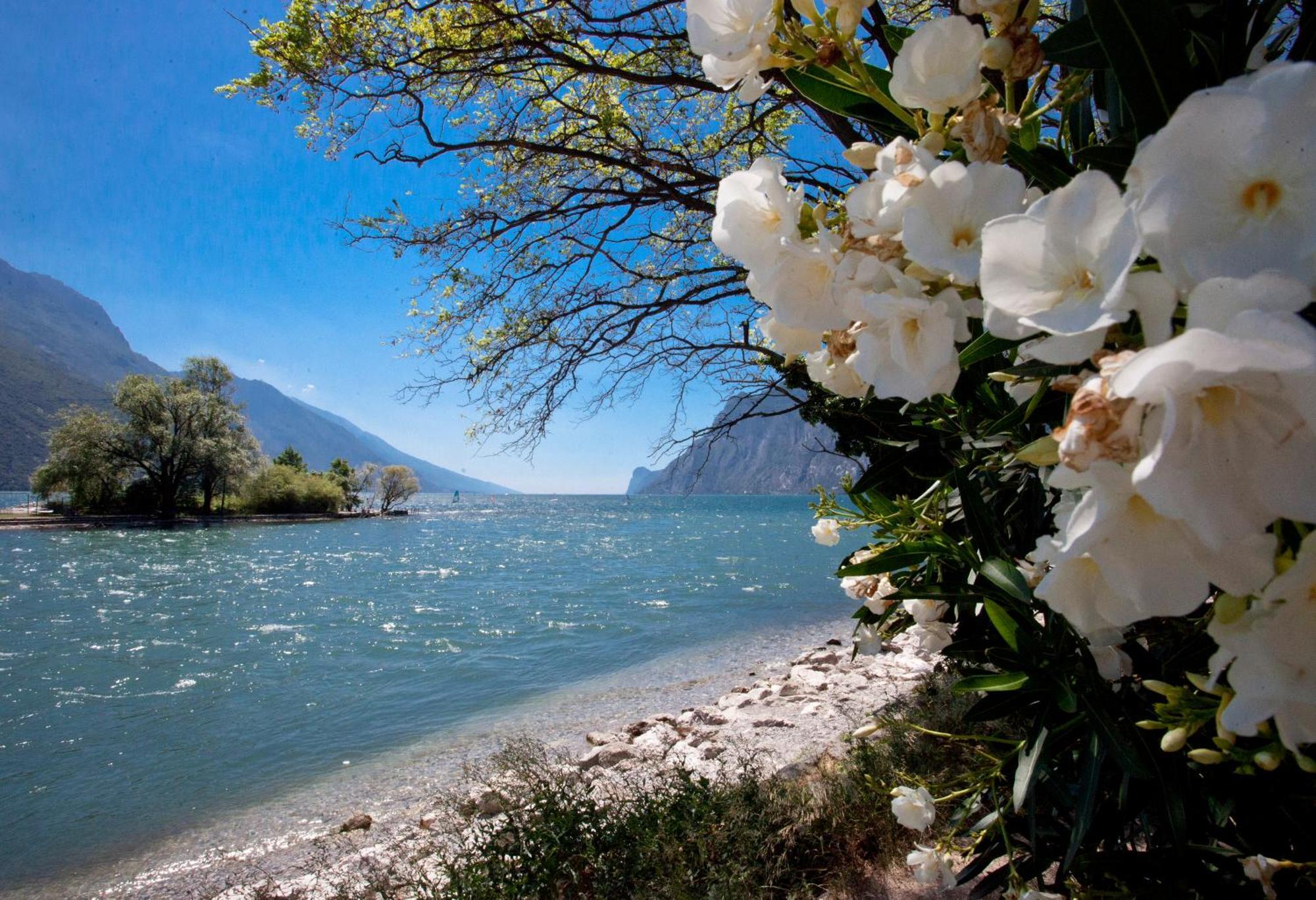 La Casa Di Lavinia Apartment Torbole Sul Garda Luaran gambar